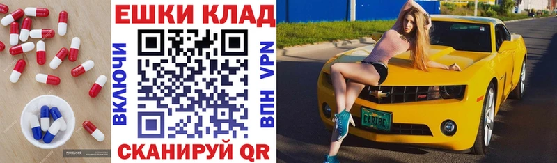 kraken ССЫЛКА  Бабушкин  Ecstasy Philipp Plein 