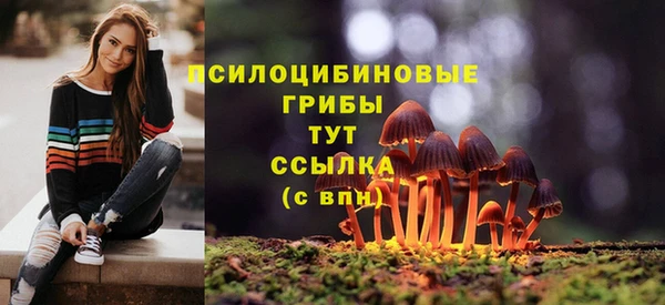 герыч Арсеньев