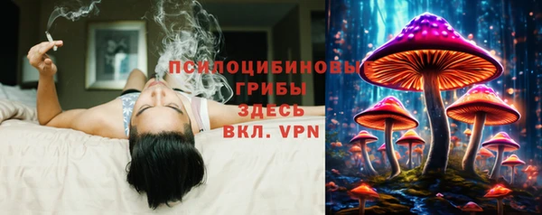 герыч Арсеньев