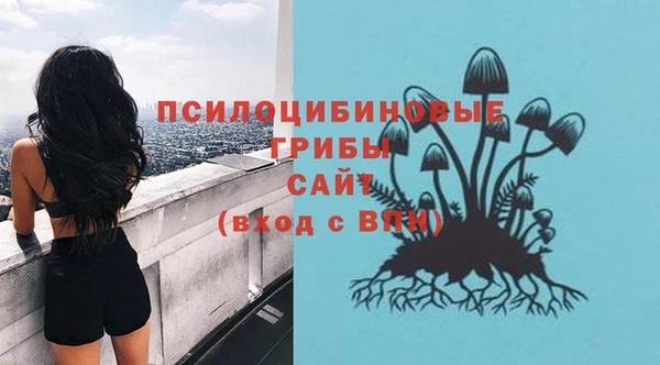 герыч Арсеньев